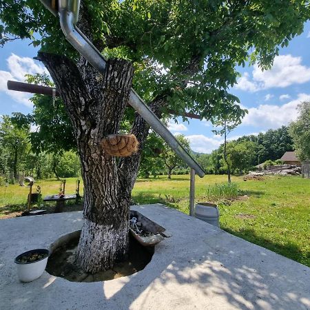 Casa Primitoare In Inima Naturii Si Padurii Rasca  Екстериор снимка