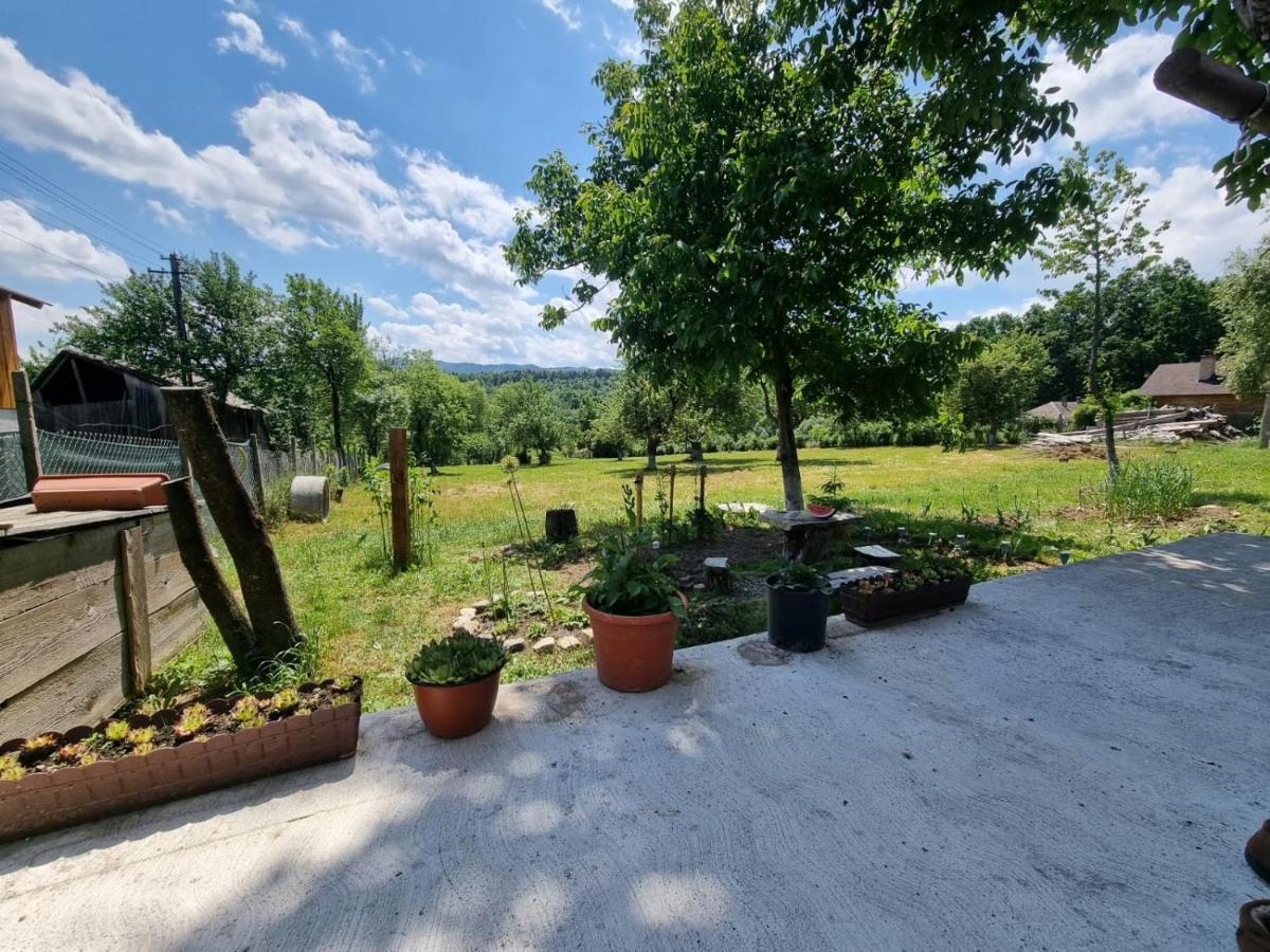 Casa Primitoare In Inima Naturii Si Padurii Rasca  Екстериор снимка
