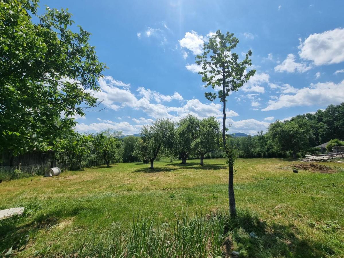 Casa Primitoare In Inima Naturii Si Padurii Rasca  Екстериор снимка